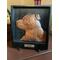 This carving of Luke is using the free stand that comes with each order.